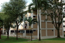 Blk 222 Pending Road (Bukit Panjang), HDB 4 Rooms #223142